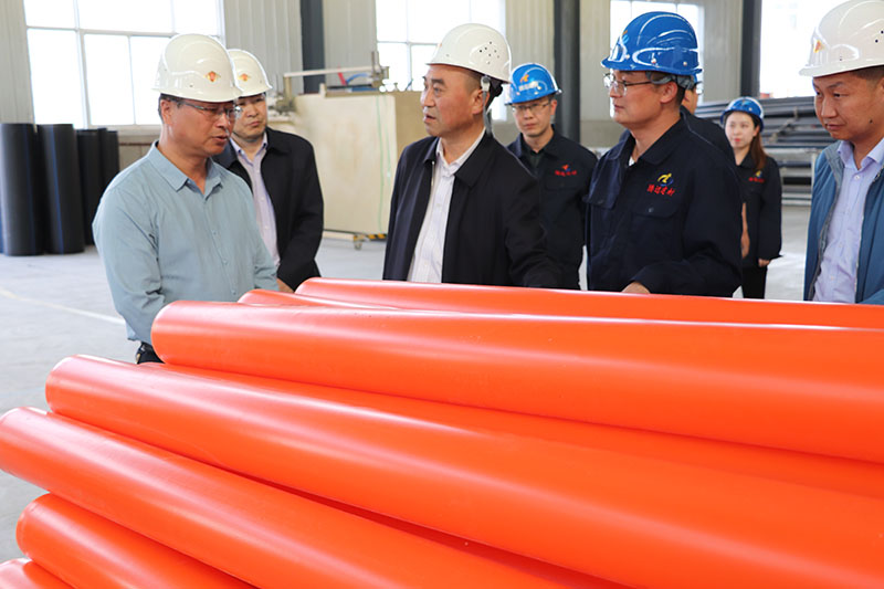 5.21日，定西市副市長、農(nóng)業(yè)農(nóng)村局局長等一行領(lǐng)導(dǎo)蒞臨我公司檢查指導(dǎo)工作